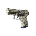 P2000 | Granite Marbleized (Well-Worn)