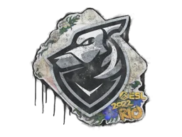 Grayhound Gaming | Рио-2022