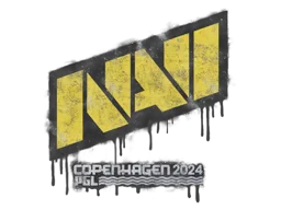 Natus Vincere | Копенгаген-2024