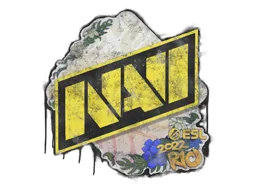 Natus Vincere | Рио-2022