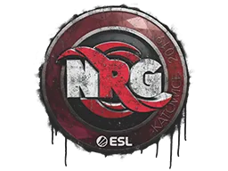 NRG | Катовице-2019
