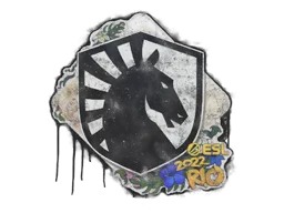 Team Liquid | Рио-2022
