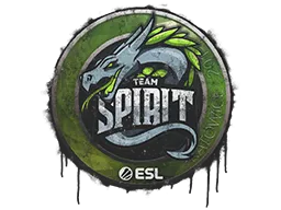 Team Spirit | Катовице-2019