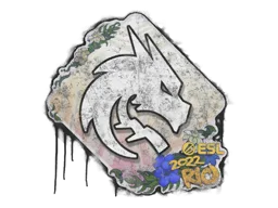 Team Spirit | Рио-2022