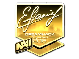 flamie (Gold) | Cluj-Napoca 2015