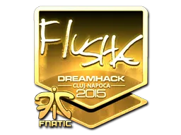 flusha (золотая) | Клуж-Напока-2015