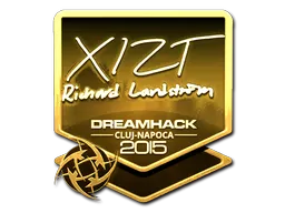 Xizt (Gold) | Cluj-Napoca 2015